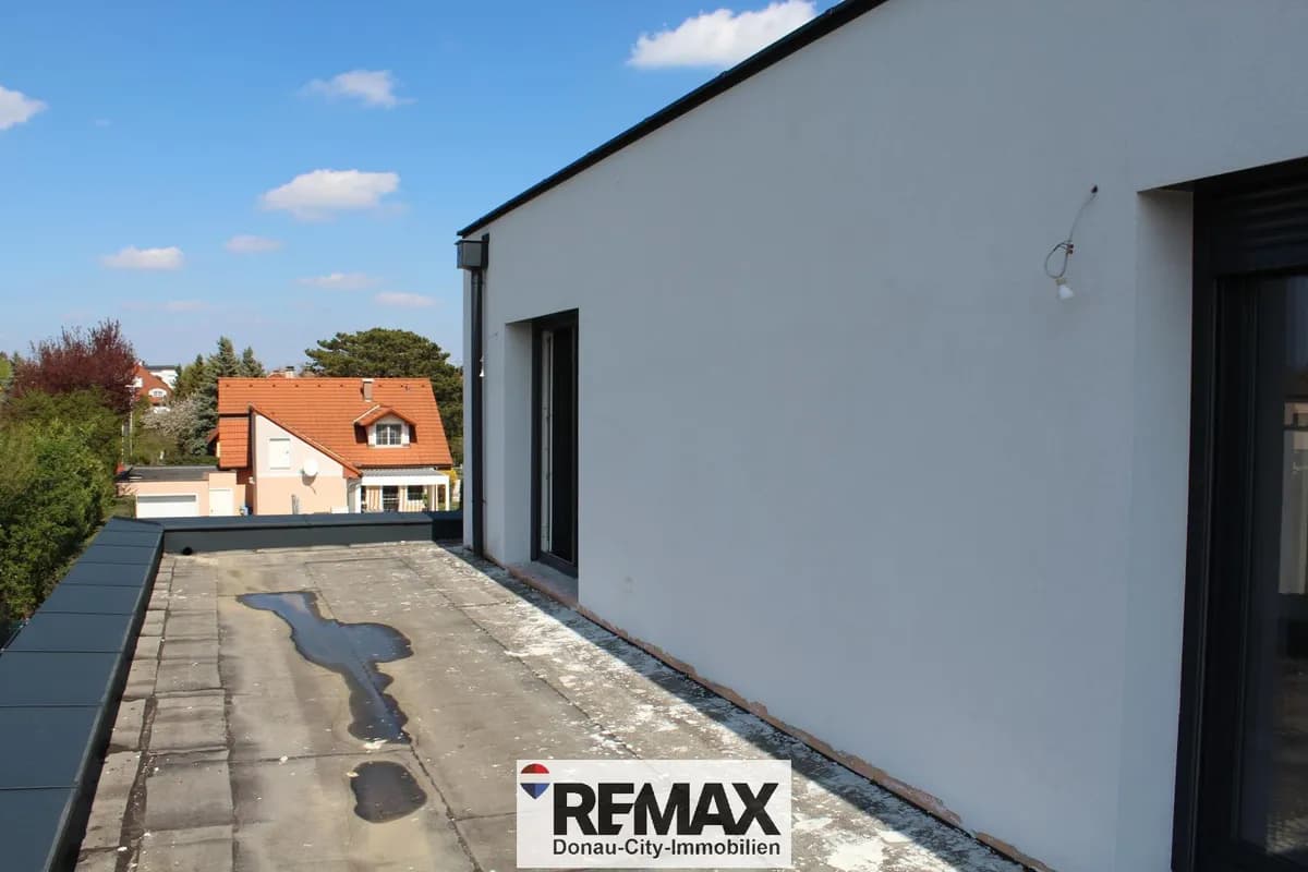 7-Zimmer-Haus kaufen in Bruck an der Leitha – 220 m² – Bild 8 von 13
