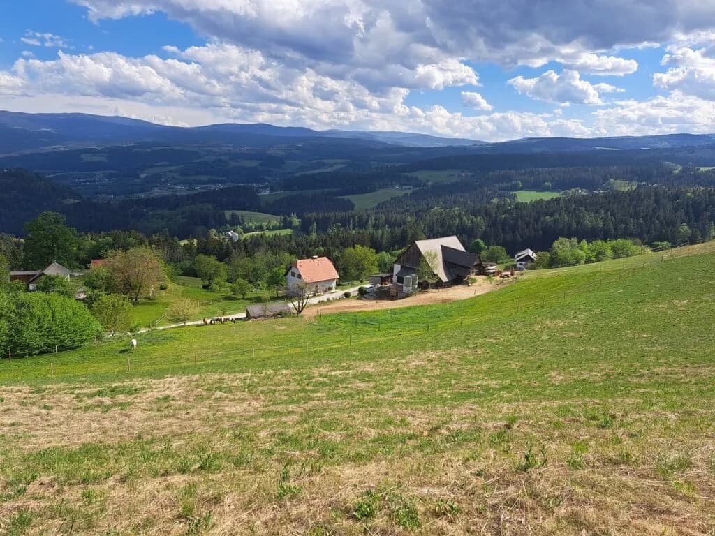 8-Zimmer-Grundstück kaufen in Voitsberg – 182 m², € 598.000 – Bild 7 von 41