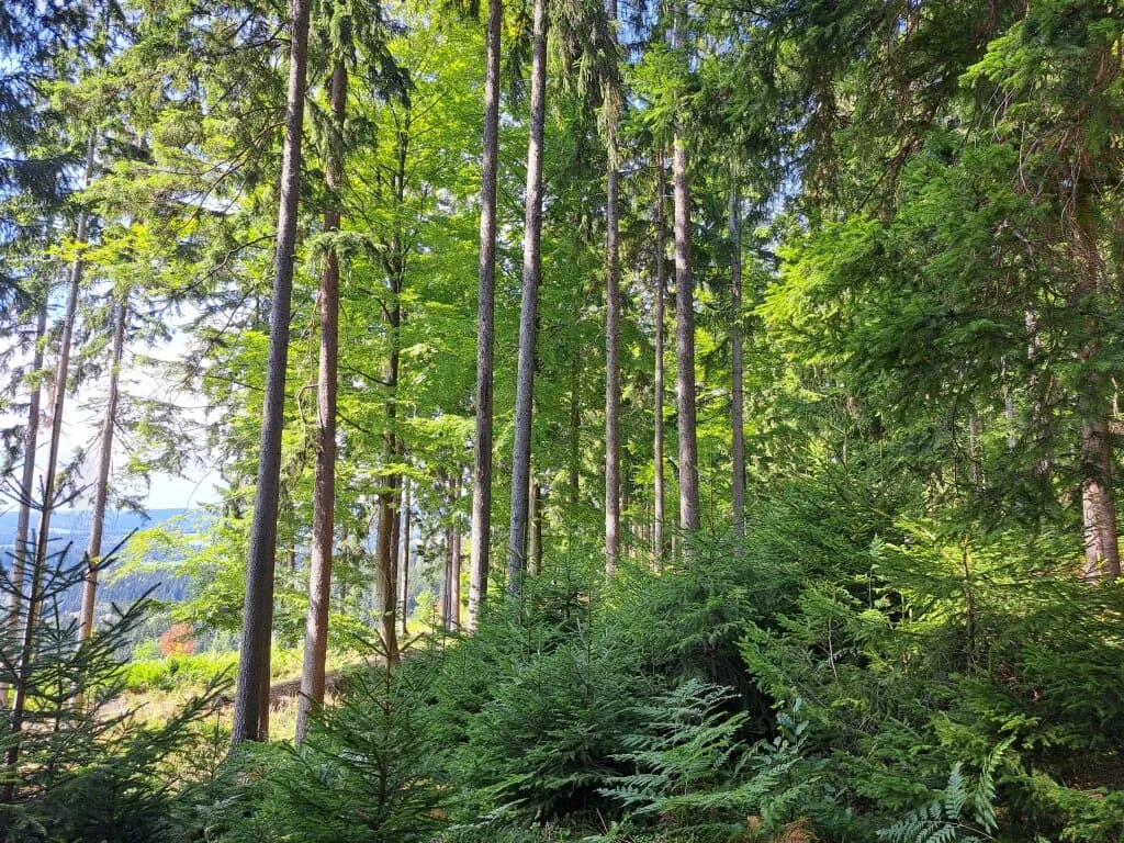 8-Zimmer-Grundstück kaufen in Voitsberg – 182 m², € 598.000 – Bild 40 von 41
