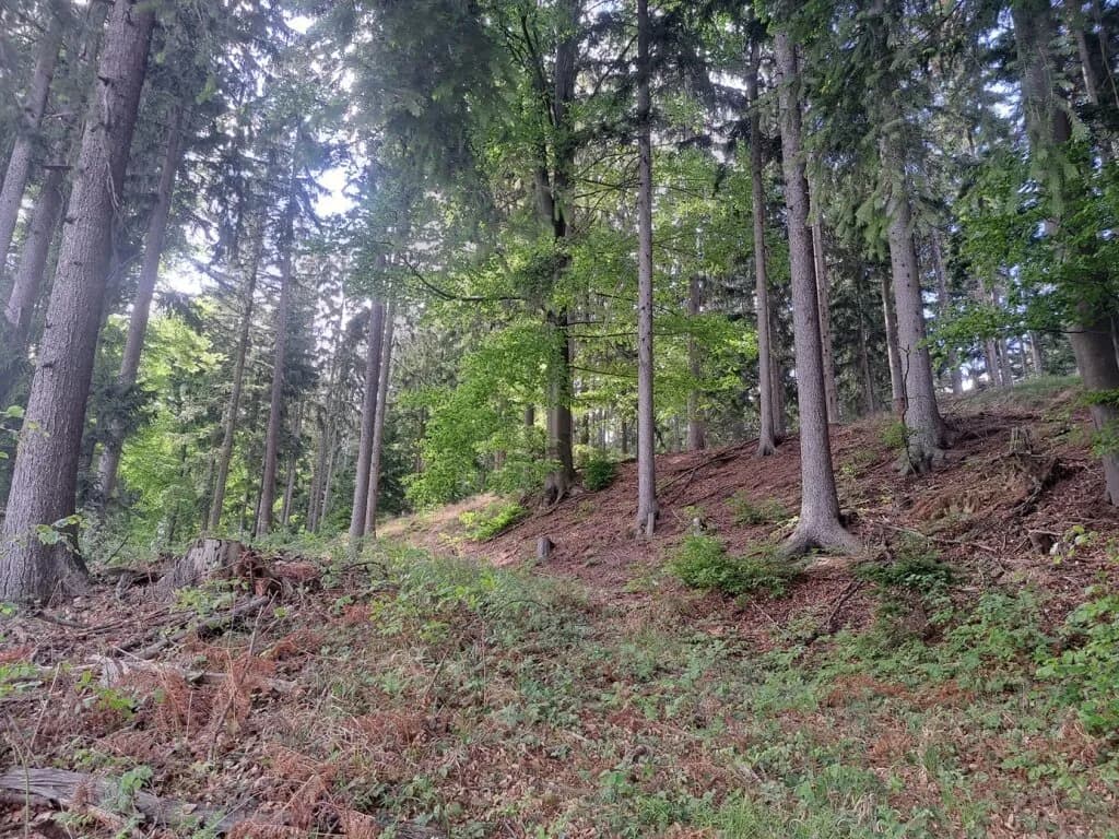 8-Zimmer-Grundstück kaufen in Voitsberg – 182 m², € 598.000 – Bild 41 von 41