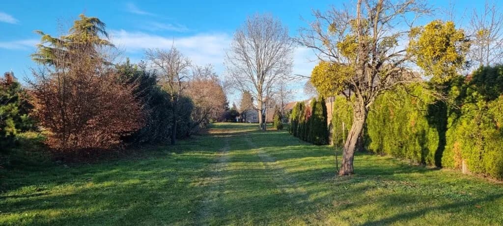 Grundstück kaufen in Oberpullendorf – 1 335 m², € 98.000 – Bild 3 von 5