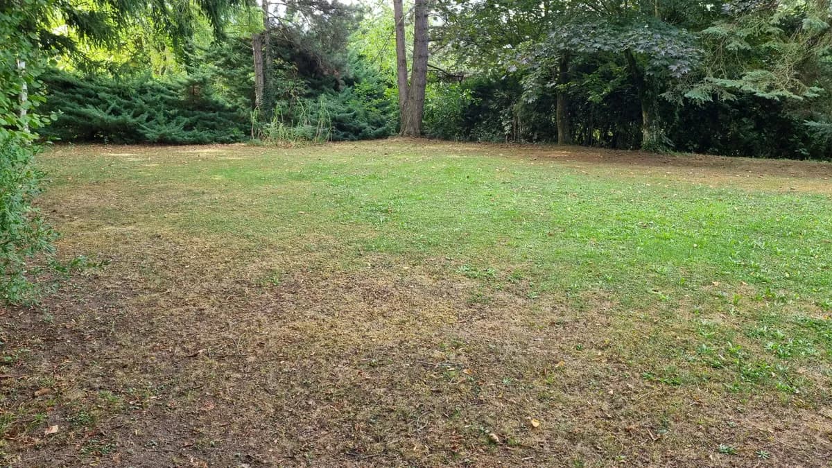 Grundstück kaufen in Amstetten – 1 350 m², € 237.000 – Bild 1 von 2