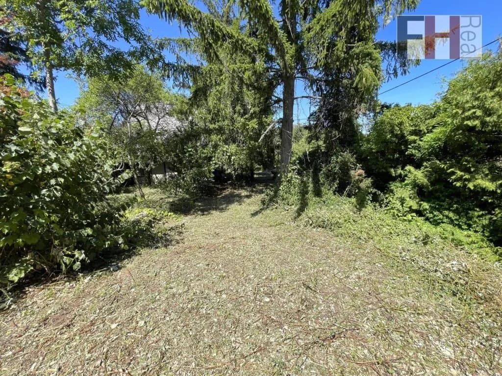 Immobilie kaufen in Wien – 435 m², € 499.000 – Bild 3 von 7