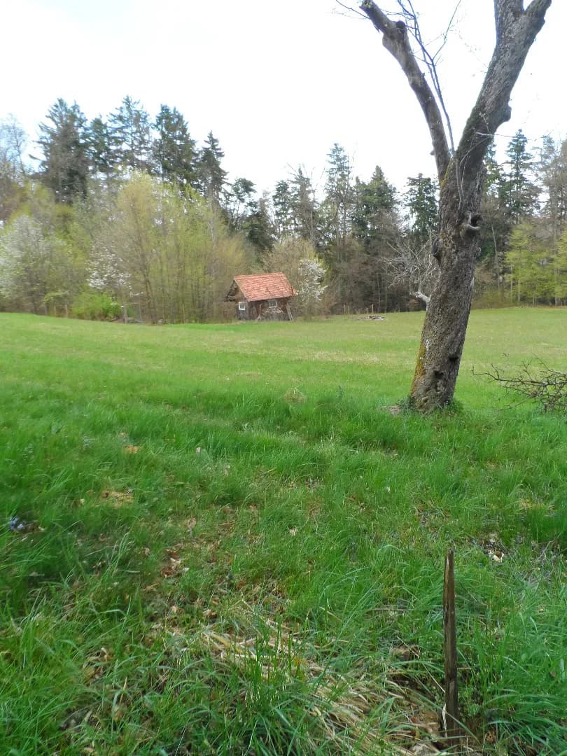 Grundstück kaufen in Graz-Umgebung – 12 290 m², € 172.060