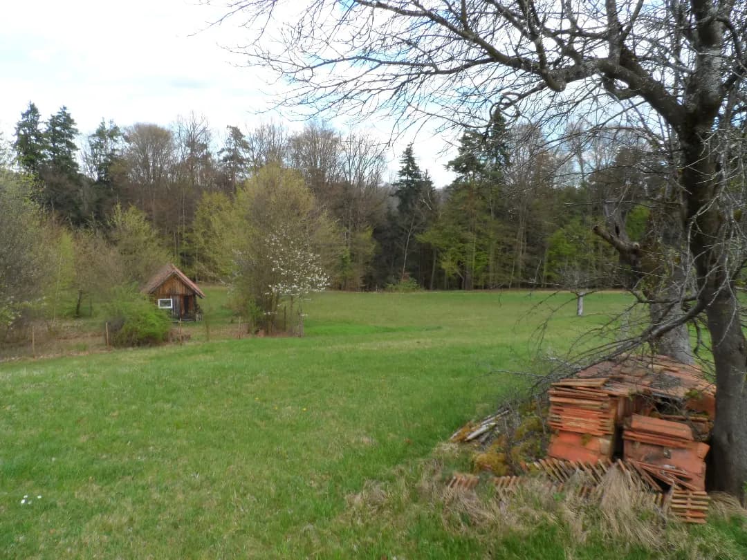 Grundstück kaufen in Graz-Umgebung – 12 290 m², € 172.060 – Bild 3 von 19