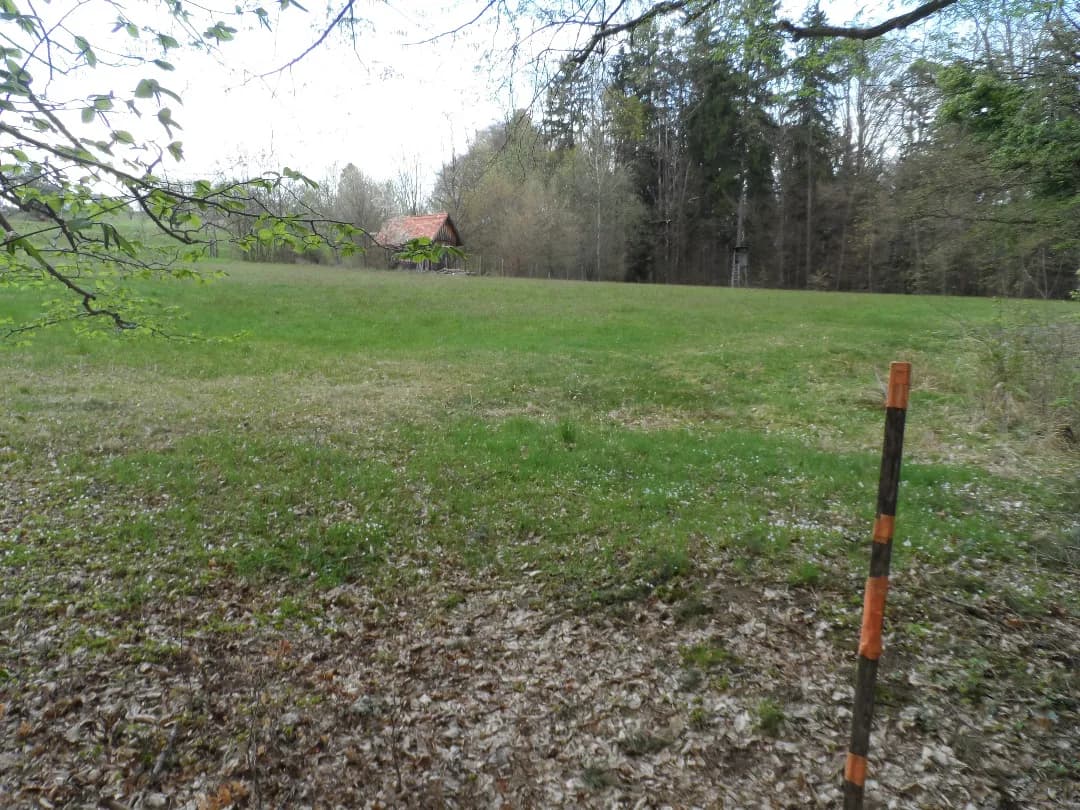 Grundstück kaufen in Graz-Umgebung – 12 290 m², € 172.060 – Bild 11 von 19