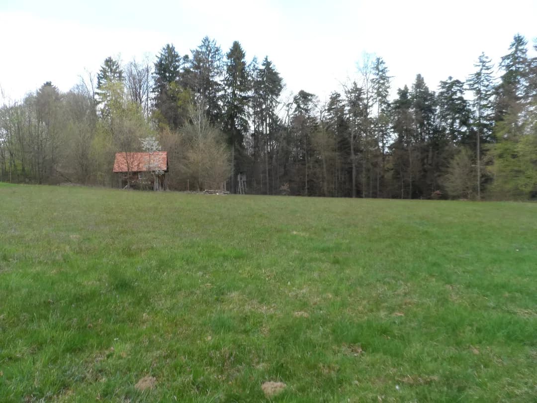 Grundstück kaufen in Graz-Umgebung – 12 290 m², € 172.060 – Bild 13 von 19