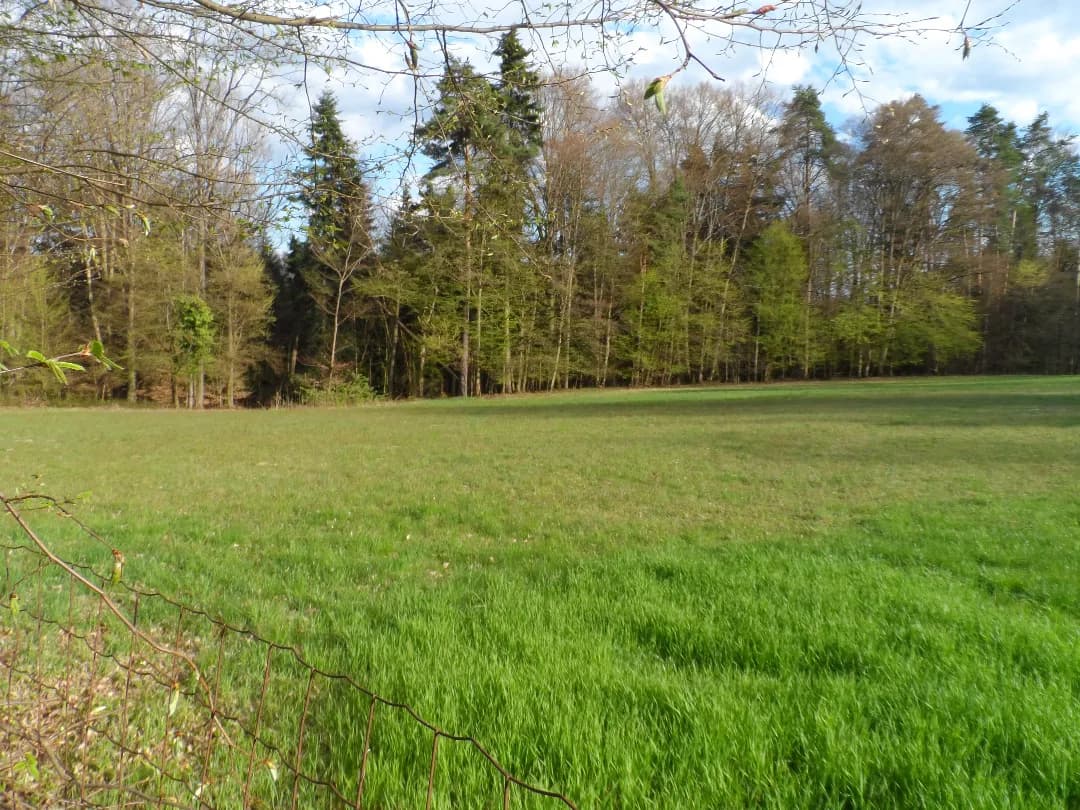 Grundstück kaufen in Graz-Umgebung – 12 290 m², € 172.060 – Bild 17 von 19