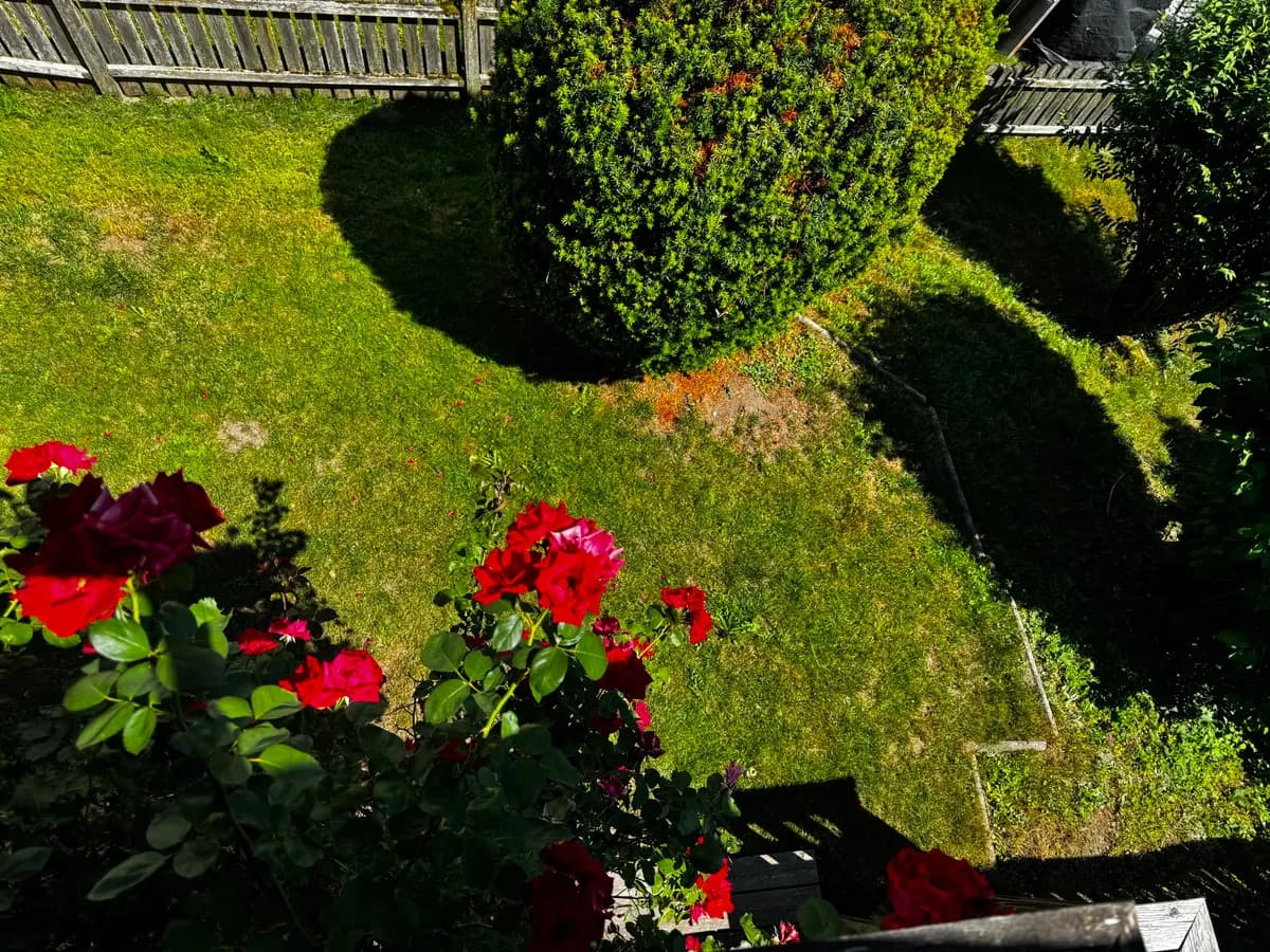 4-Zimmer-Haus mieten in Liezen – 110 m², € 1.350 – Bild 12 von 21