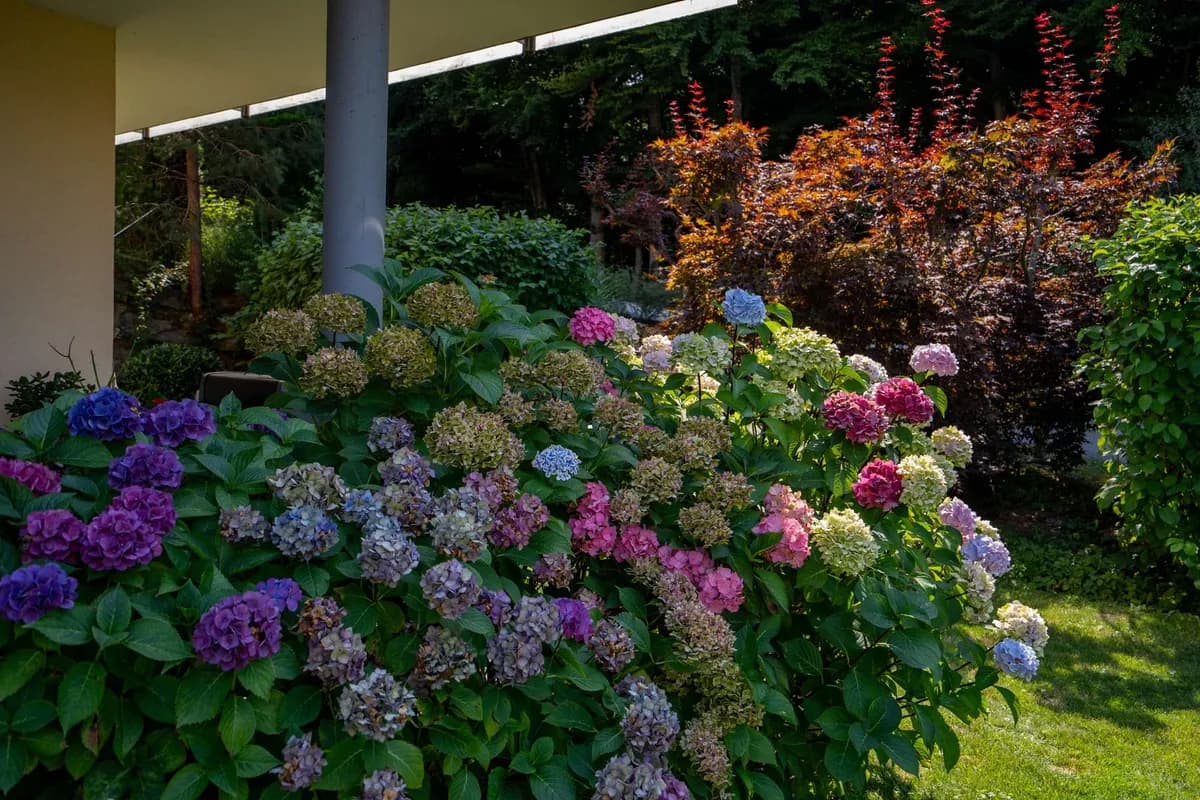 3-Zimmer-Wohnung kaufen in Villach Land – 78 m², € 1.385.000 – Bild 12 von 14