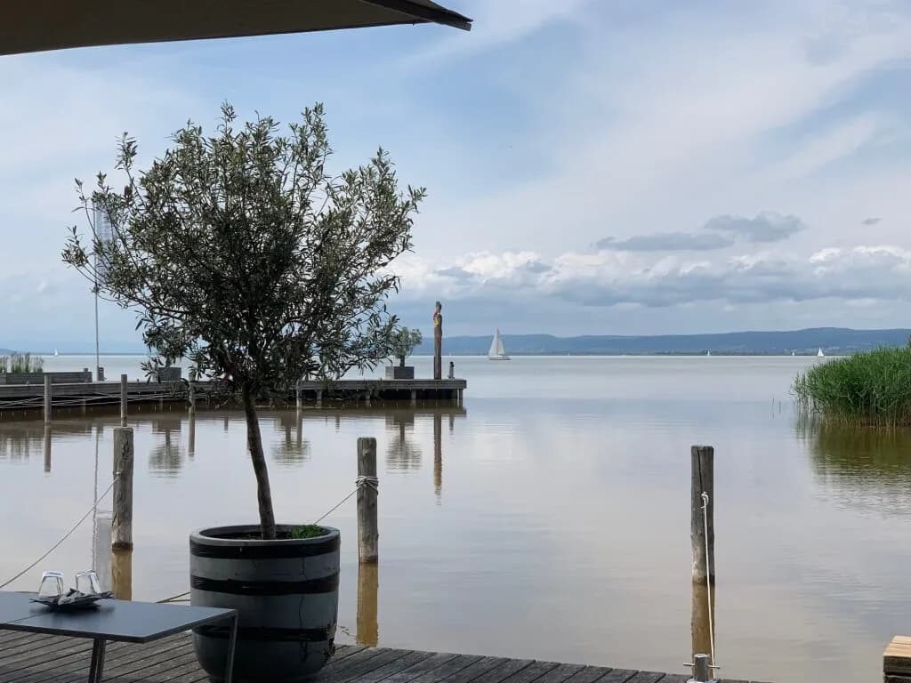 Haus kaufen in Neusiedl am See – 367 m², € 1.350.000 – Bild 5 von 73