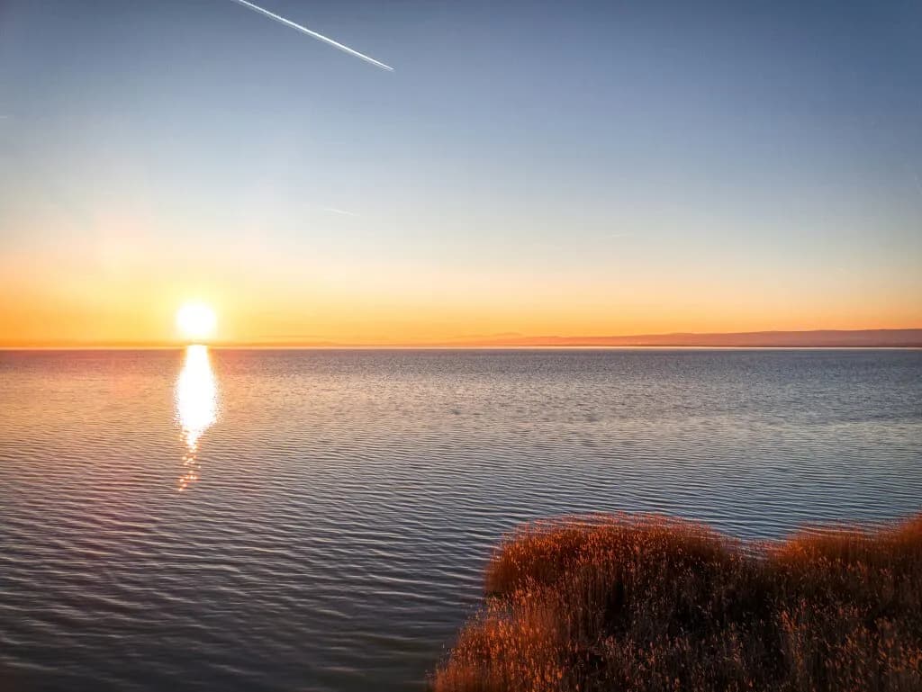 Haus kaufen in Neusiedl am See – 367 m², € 1.350.000 – Bild 63 von 73
