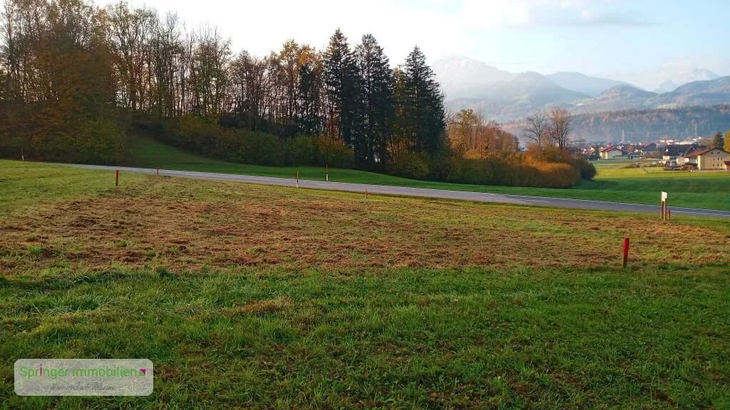 Grundstück kaufen in Hallein – 570 m², € 285.000 – Bild 3 von 5
