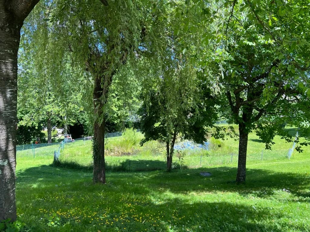4-Zimmer-Wohnung mieten in Graz – 125 m², € 1.500 – Bild 12 von 13