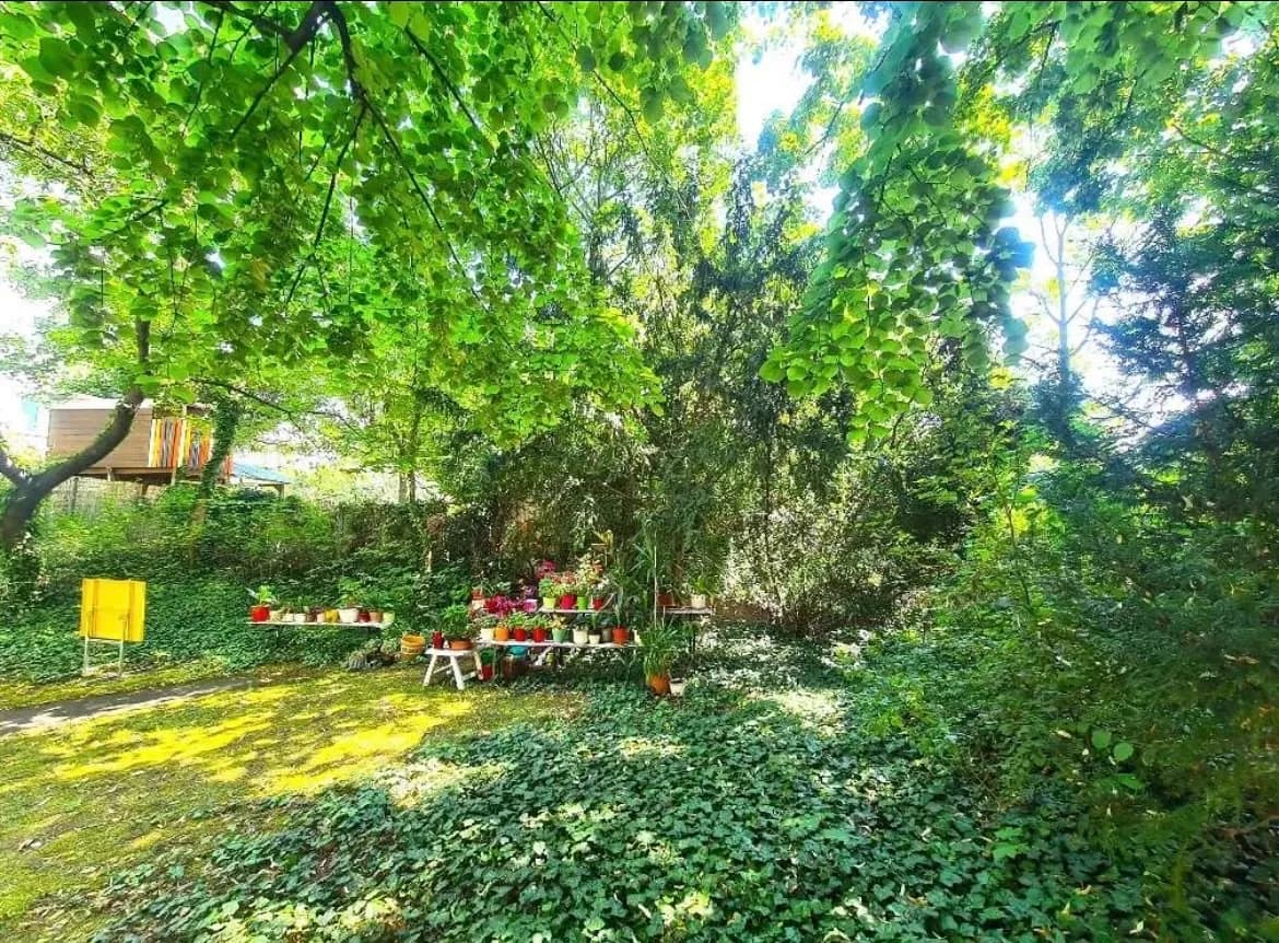 1-Zimmer-Wohnung mieten in Wien – 37 m², € 860 – Bild 11 von 12