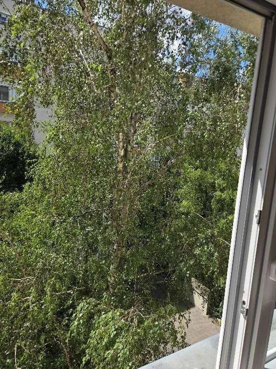 3-Zimmer-Wohnung kaufen in Wien – 62,14 m², € 199.000 – Bild 3 von 34