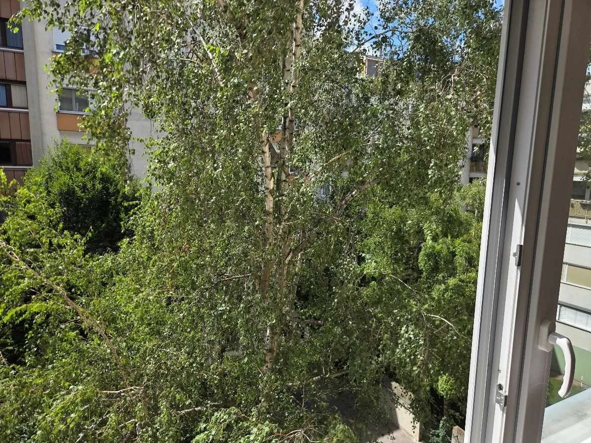 3-Zimmer-Wohnung kaufen in Wien – 62,14 m², € 199.000 – Bild 17 von 34