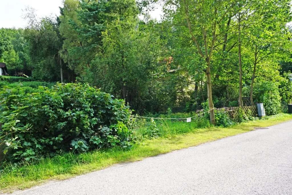 Grundstück kaufen in Sankt Pölten Land – 804 m², € 360.000 – Bild 6 von 7
