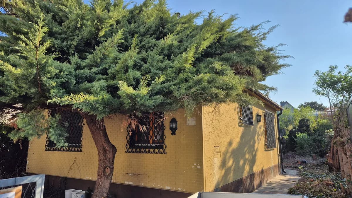 Grundstück kaufen in Mödling – 503 m², € 580.000