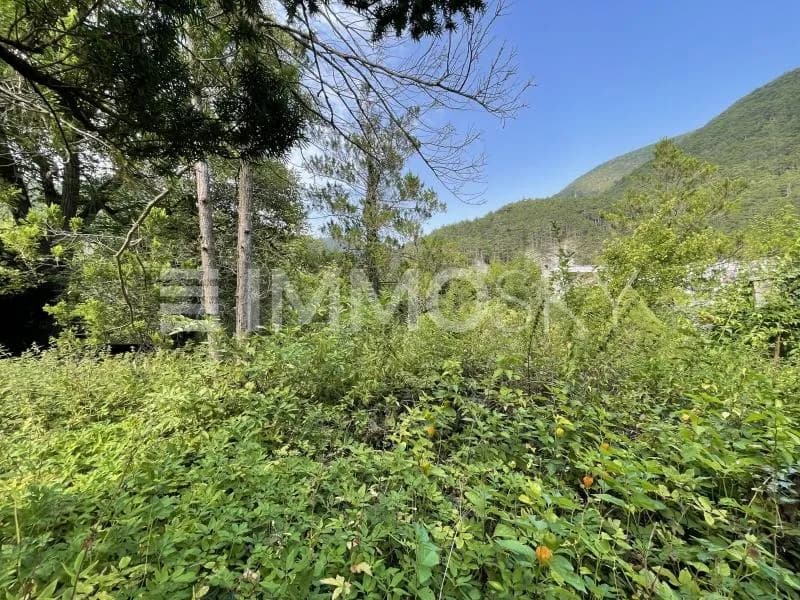 Grundstück kaufen in Wiener Neustadt Land – 2 000 m², € 220.000