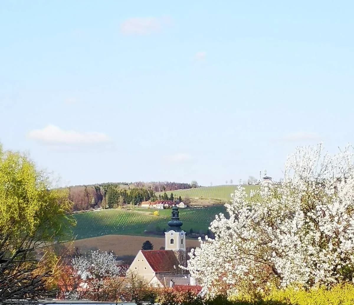 18-Zimmer-Immobilie kaufen in Hartberg-Fürstenfeld – 758 m², € 1.470.000 – Bild 6 von 12