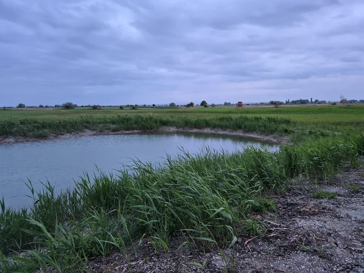 Grundstück kaufen in Neusiedl am See – 15 306 m², € 57.000 – Bild 2 von 3