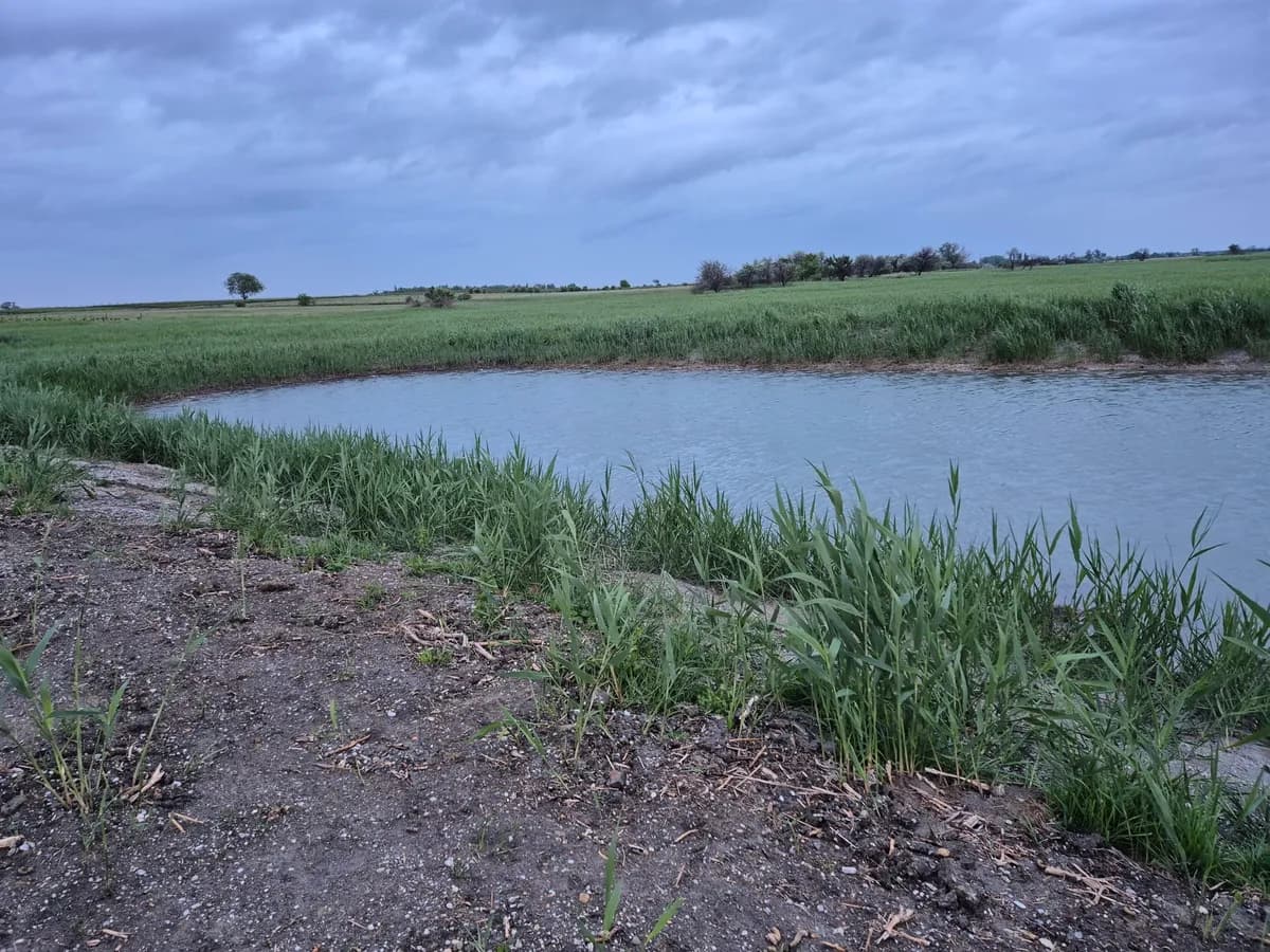 Grundstück kaufen in Neusiedl am See – 15 306 m², € 57.000 – Bild 3 von 3