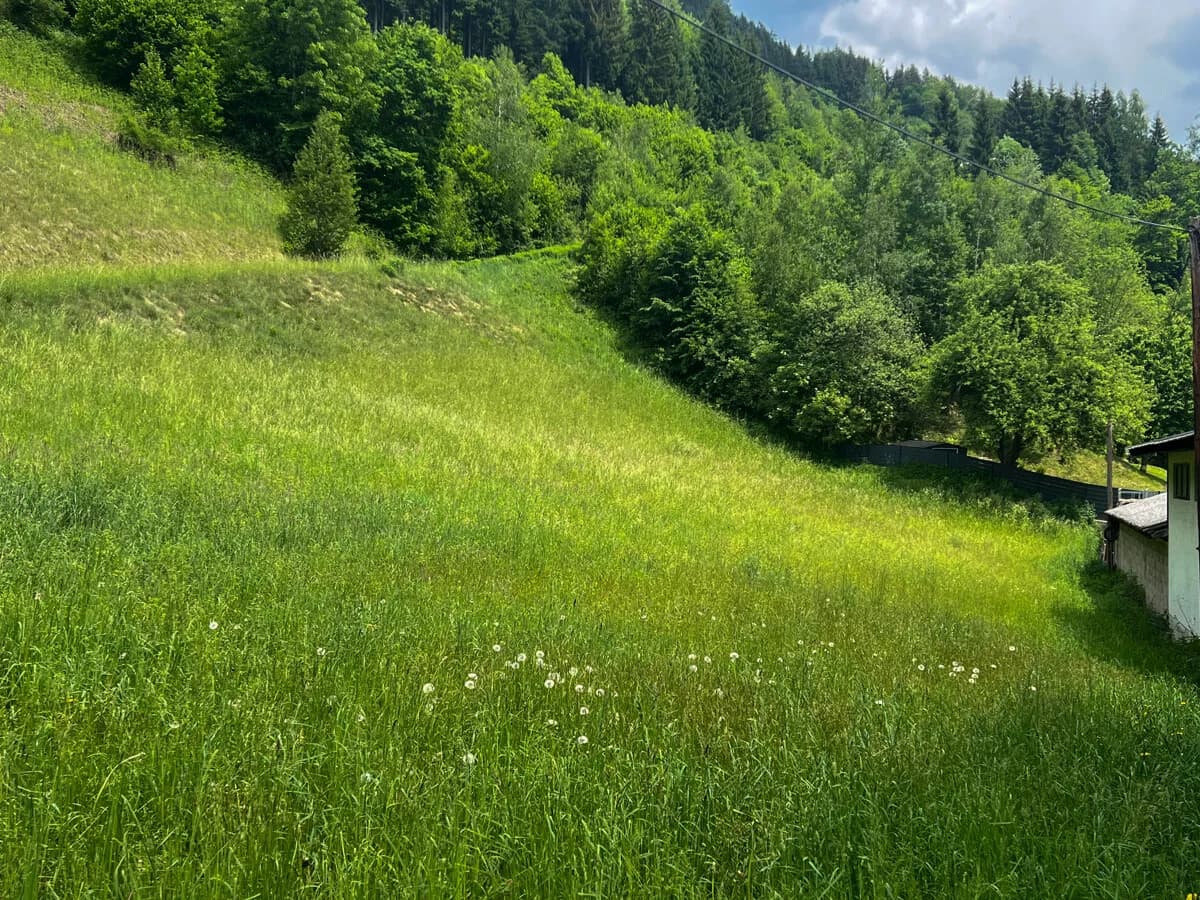Grundstück kaufen in Zell am See – 528 m², € 132.000 – Bild 1 von 3