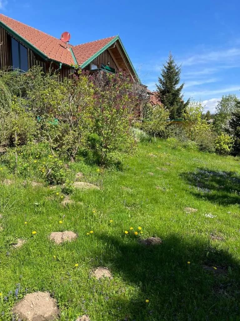 Haus kaufen in Murau – 202 m², € 1.100.000 – Bild 2 von 74