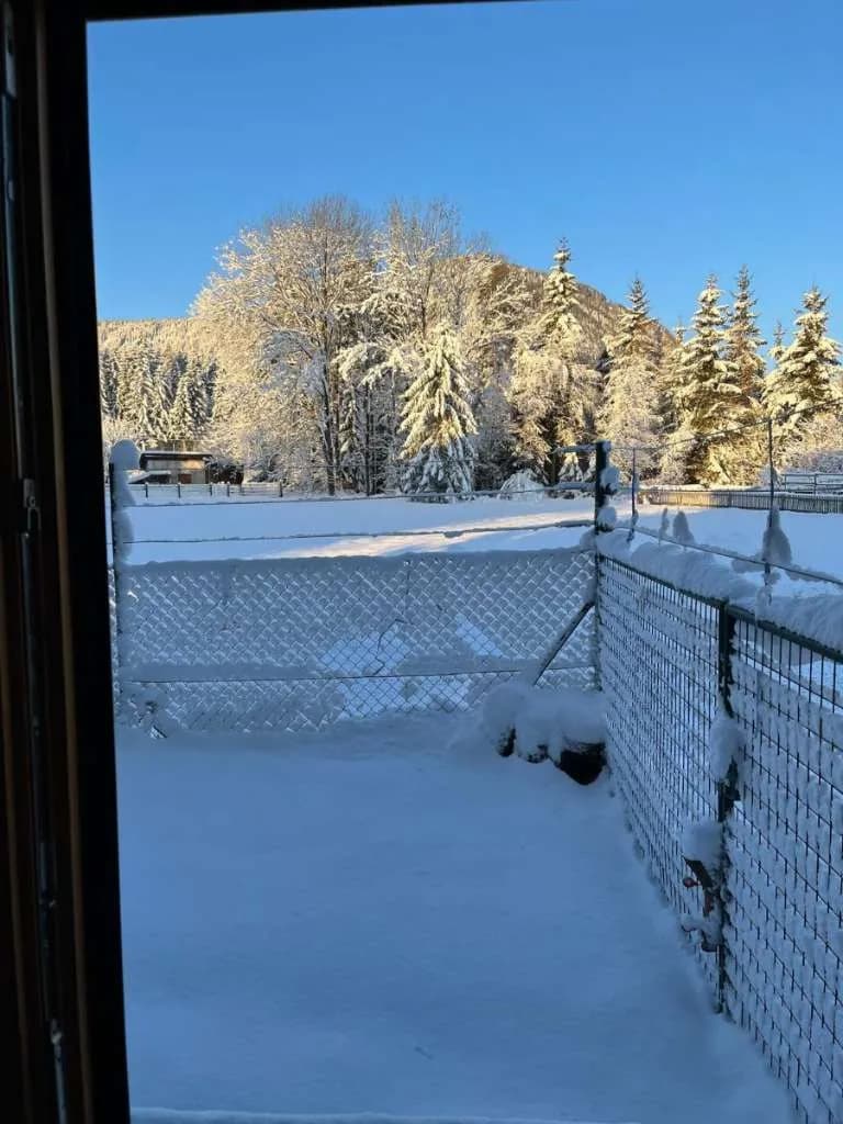 Haus kaufen in Murau – 202 m², € 1.100.000 – Bild 11 von 74