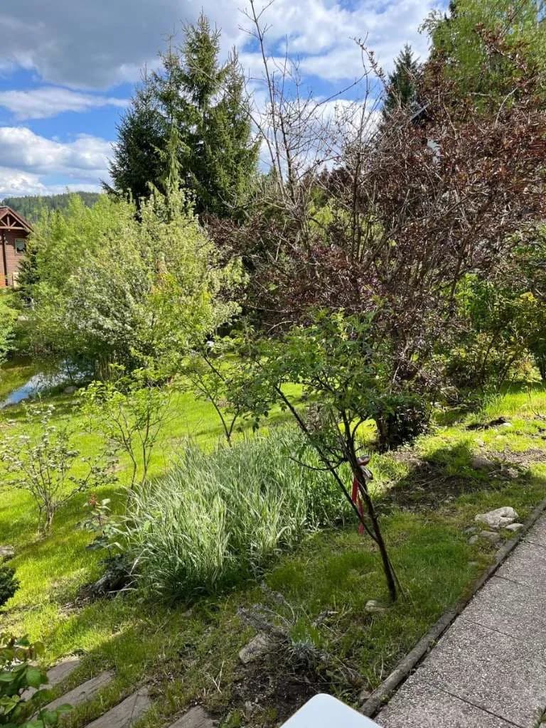 Haus kaufen in Murau – 202 m², € 1.100.000 – Bild 14 von 74
