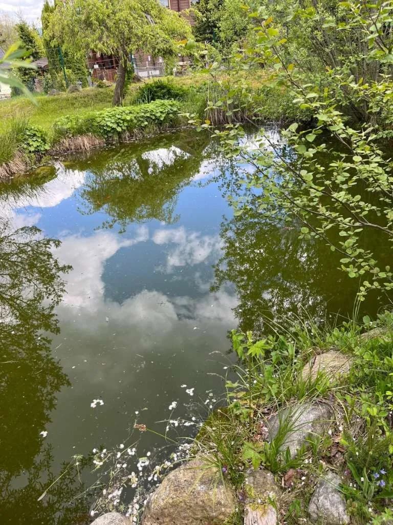 Haus kaufen in Murau – 202 m², € 1.100.000 – Bild 16 von 74