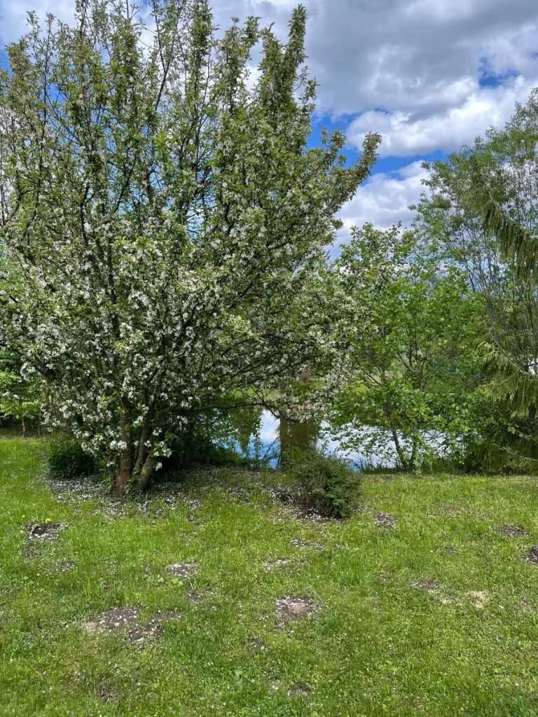 Haus kaufen in Murau – 202 m², € 1.100.000 – Bild 17 von 74