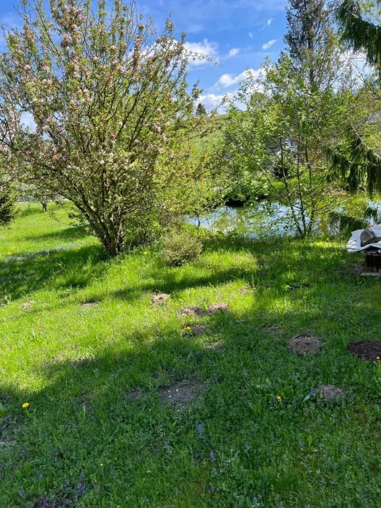 Haus kaufen in Murau – 202 m², € 1.100.000 – Bild 18 von 74