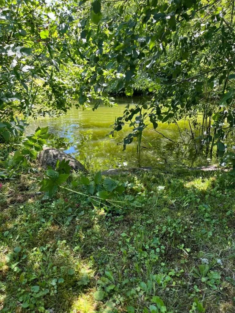 Haus kaufen in Murau – 202 m², € 1.100.000 – Bild 22 von 74
