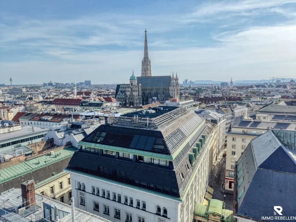 7-Zimmer-Wohnung kaufen in Wien – 390,23 m², € 9.770.000 – Bild 42 von 44