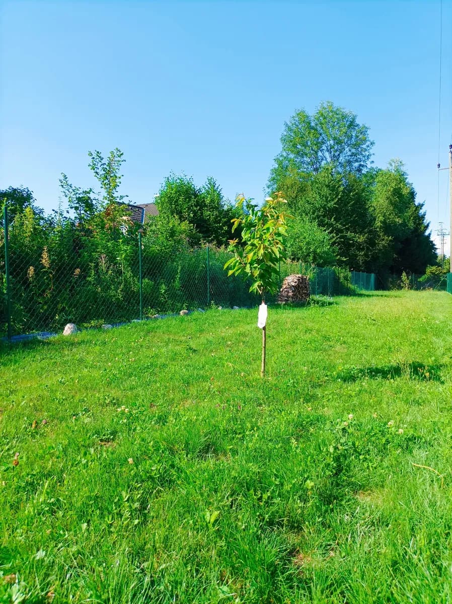Immobilie kaufen in Vöcklabruck – 764 m², € 72.000 – Bild 3 von 25