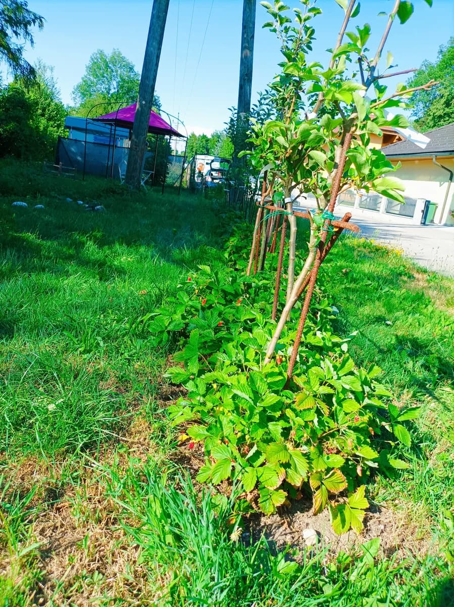 Immobilie kaufen in Vöcklabruck – 764 m², € 72.000 – Bild 18 von 25