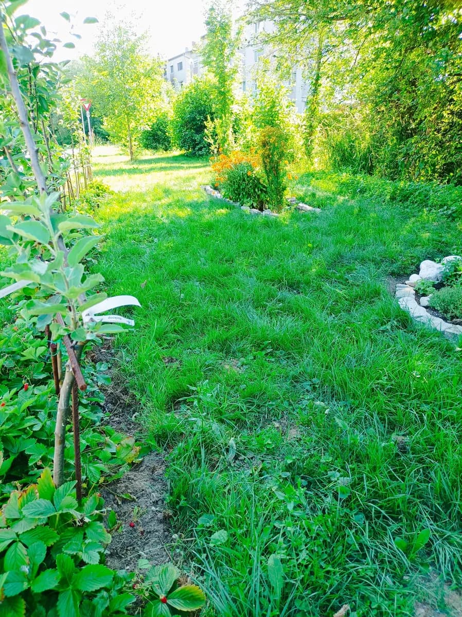 Immobilie kaufen in Vöcklabruck – 764 m², € 72.000 – Bild 24 von 25
