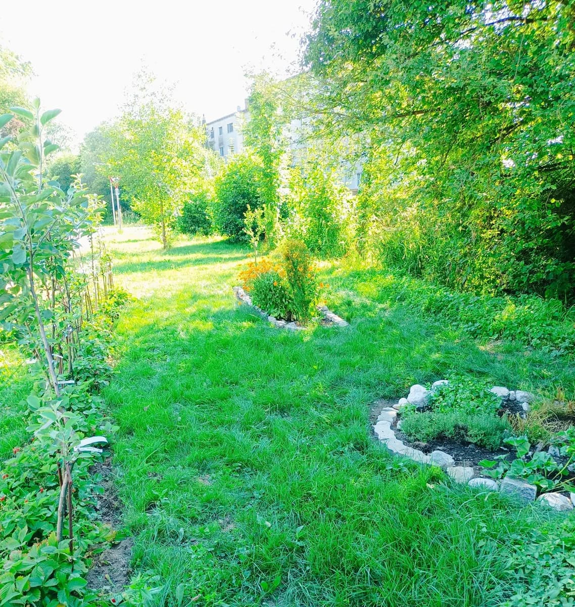 Immobilie kaufen in Vöcklabruck – 764 m², € 72.000 – Bild 25 von 25