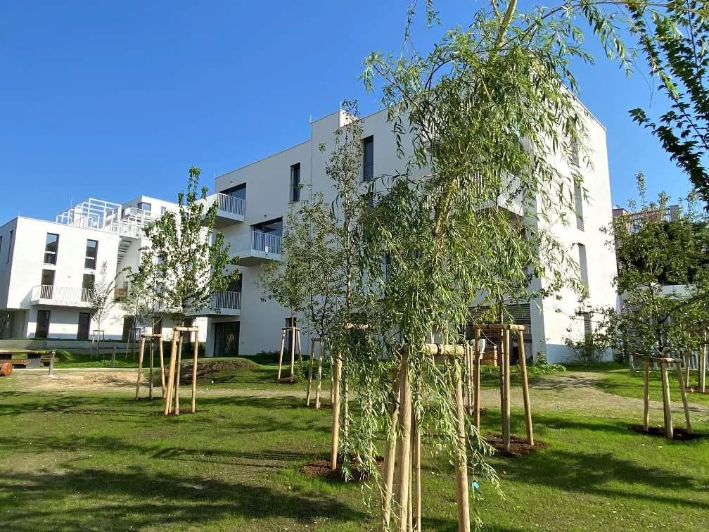 3-Zimmer-Wohnung mieten in Wien – 77 m², € 1.384