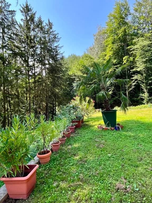 4-Zimmer-Haus kaufen in Sankt Pölten Land – 157 m², € 399.000 – Bild 9 von 13