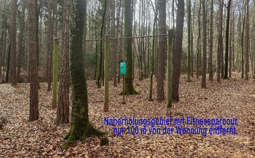 2-Zimmer-Wohnung mieten in Hartberg-Fürstenfeld – 48 m², € 580 – Bild 22 von 22