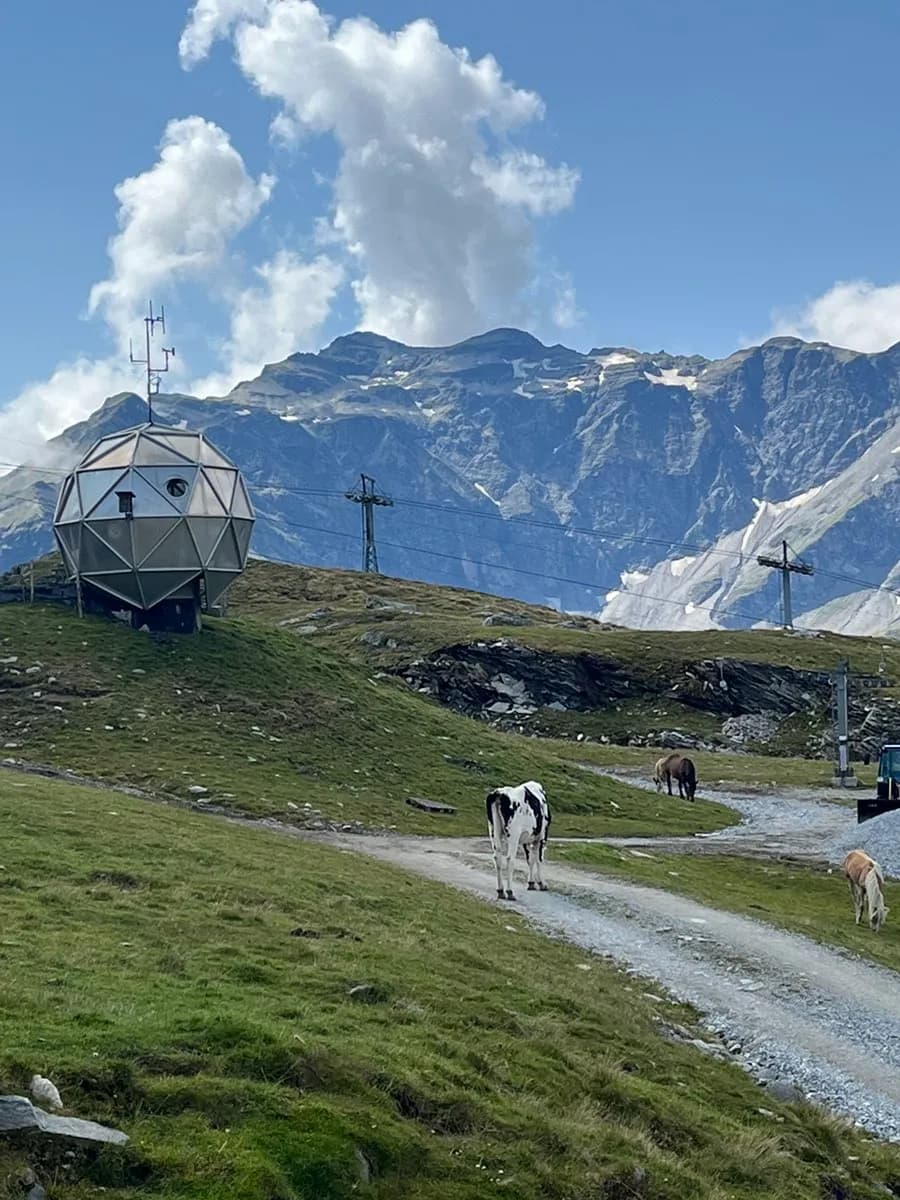 2-Zimmer-Wohnung mieten in Sankt Johann im Pongau – 46 m², € 1.200 – Bild 19 von 20