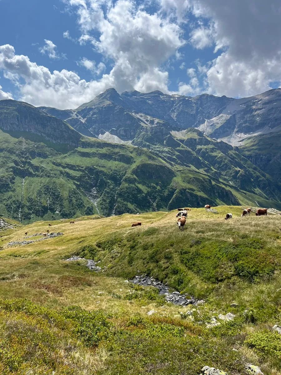 2-Zimmer-Wohnung mieten in Sankt Johann im Pongau – 46 m², € 1.200 – Bild 20 von 20