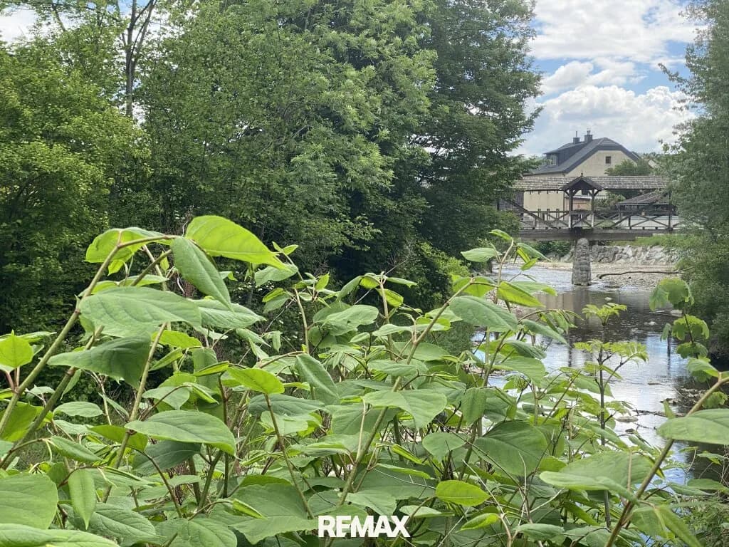 Immobilie kaufen in Baden – 145,83 m², € 250.000 – Bild 8 von 9