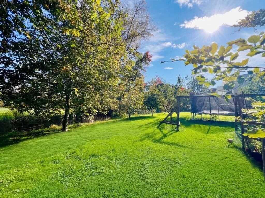 Grundstück kaufen in Dornbirn – 736 m² – Bild 1 von 9