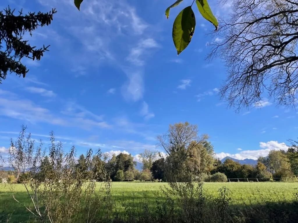 Grundstück kaufen in Dornbirn – 736 m² – Bild 3 von 9