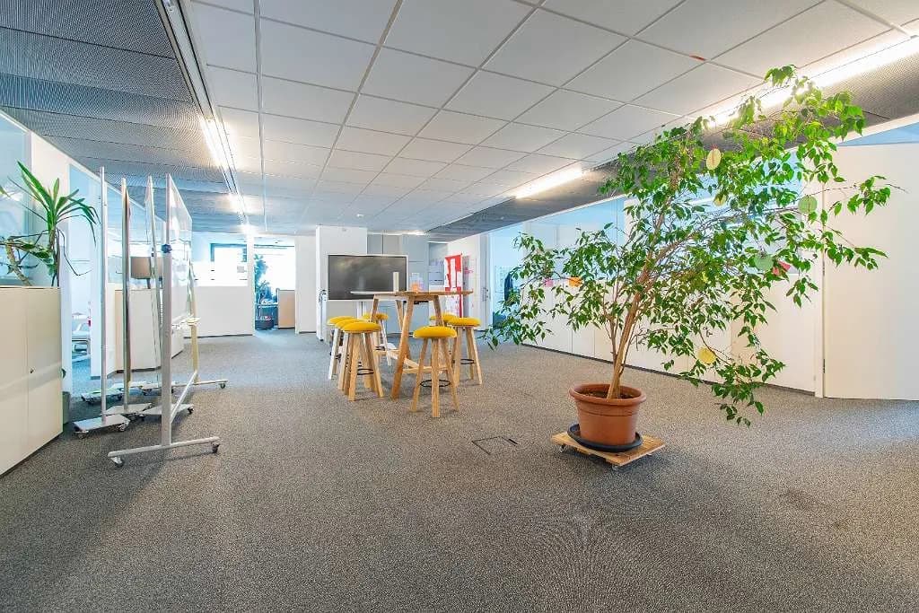 Gewerbeimmobilie mieten in Linz – 2 350 m², € 19 – Bild 4 von 8