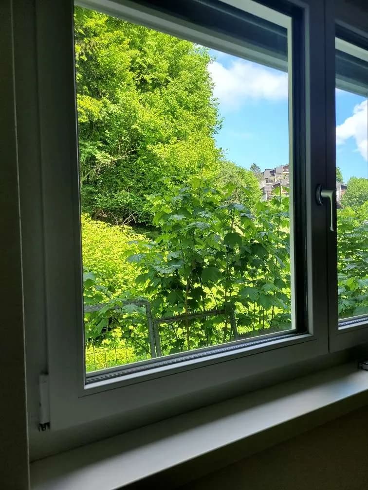 3-Zimmer-Wohnung mieten in Gmunden – 86 m², € 1.490 – Bild 6 von 16